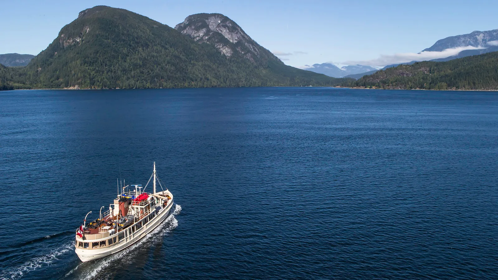 The Pacific Yellowfin