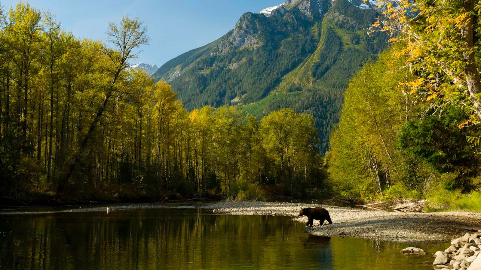 Tweedsmuir Park Lodge