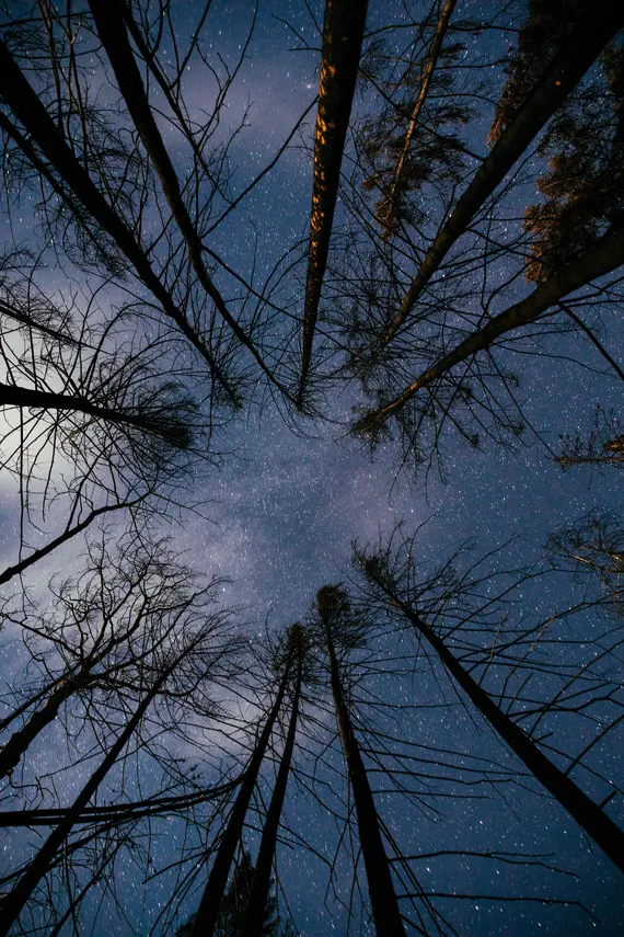 Stars in the night sky at Siwash Lake's private dark sky reserve