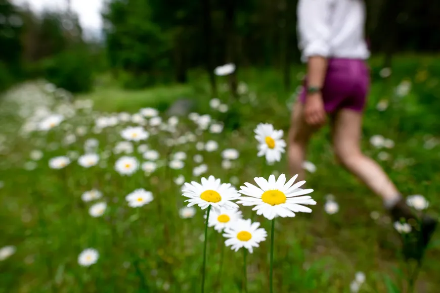 Self-guided hikes at Siwash Lake