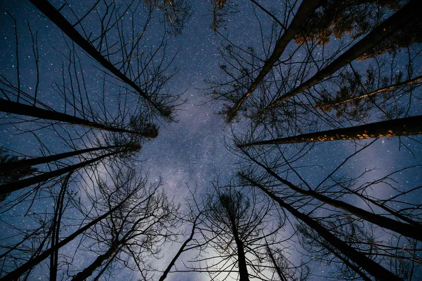 Seek solace in the stars at Siwash Lake