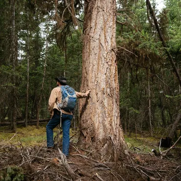 Hiking at Siwash Lake