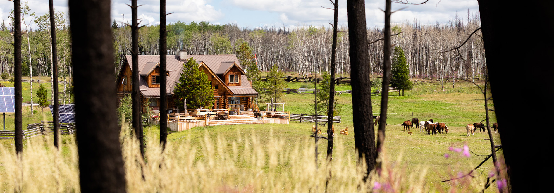 Bush Craft  Eco Adventure at Siwash Lake Wilderness Resort